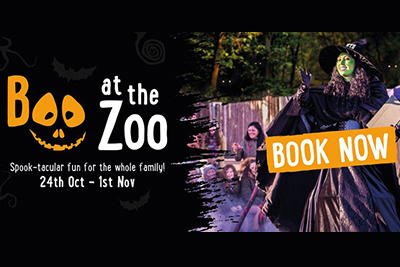 Boo at the Zoo
