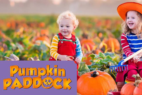 pumpkin