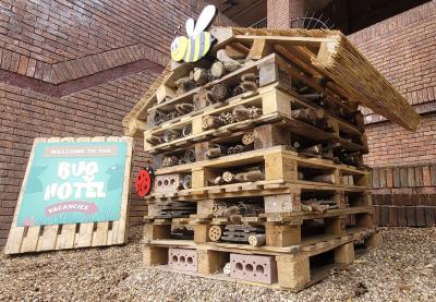 Bug Hotel 