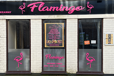Flamingo