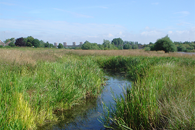 nature reserve