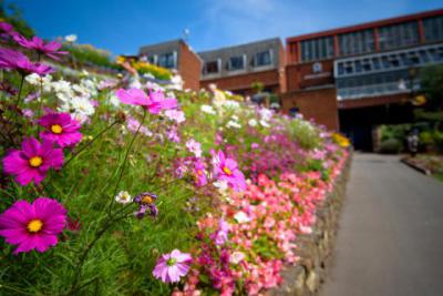 ‘Get Blooming Active’, is the message for the 2022 Tamworth in Bloom launch