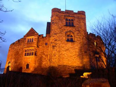 Castle at Night 