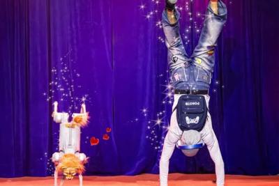 Paulos Circus Planters Tamworth 