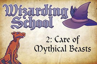Wizarding School 
