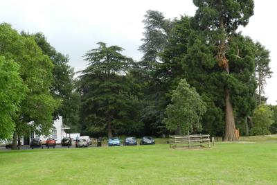 heart of england in bloom