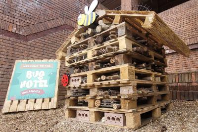 Bug Hotel 